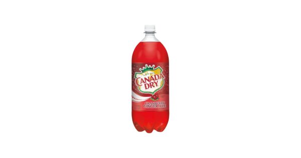 Dry Ginger Ale – 2 L Bottle